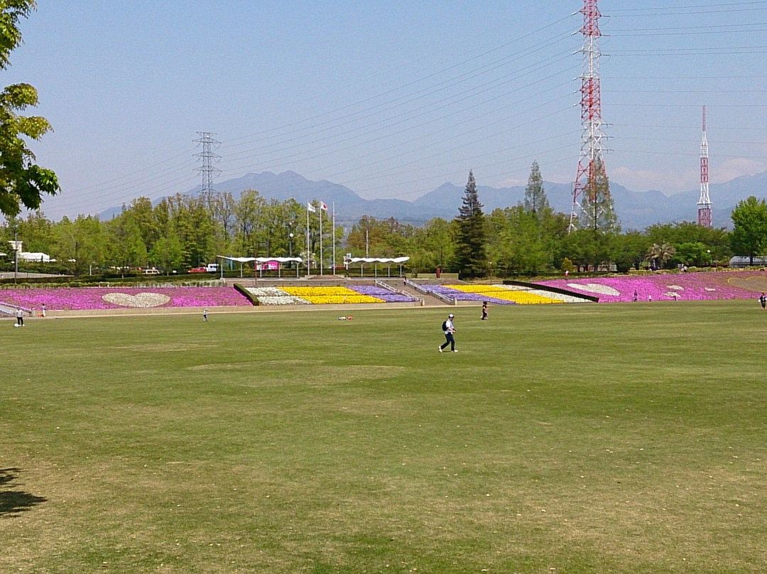 Dragon Park (Akasakadai Sogo Park)景点图片