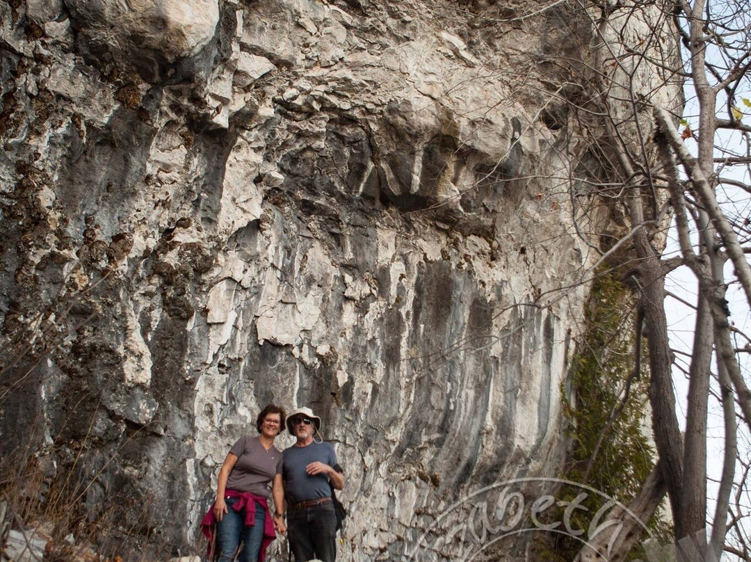 Hope Bay Forest Provincial Nature Reserve景点图片