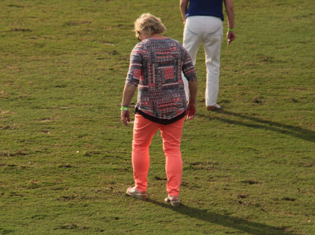 The Villages Polo Club-群村必去景点