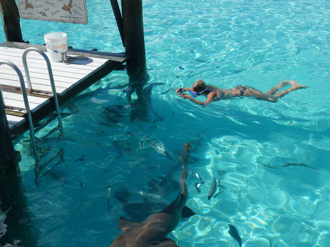 Aquaquest Escapes-George Town必去景点