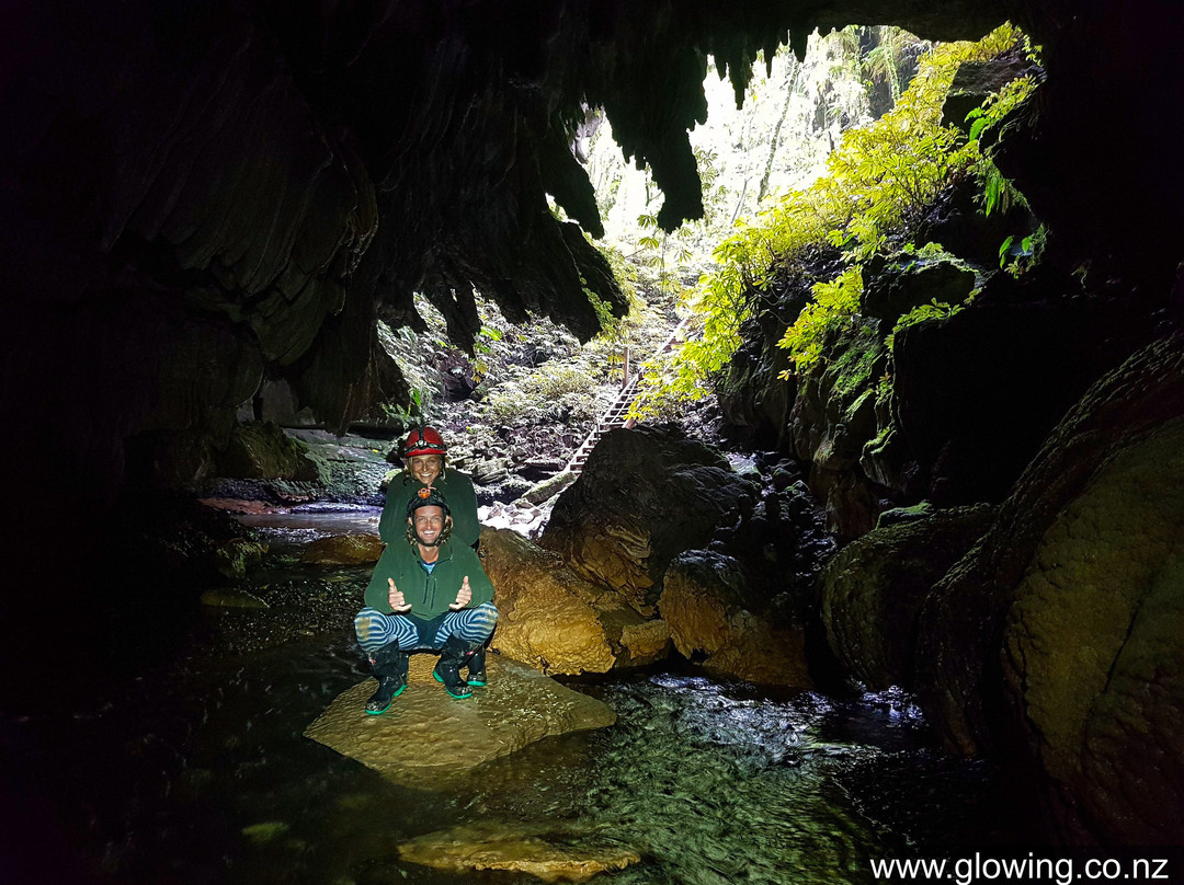 Down to Earth - Eco Cave Tours In Waitomo景点图片