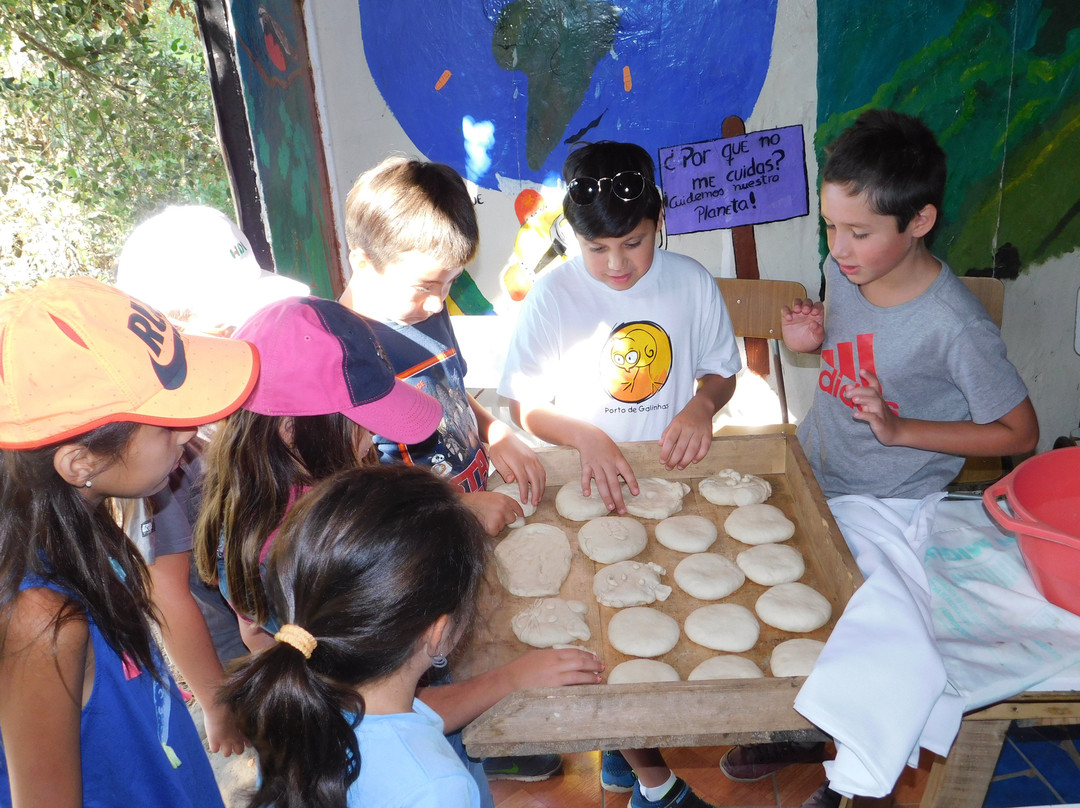 Casa Ecologica-Coltauco必去景点