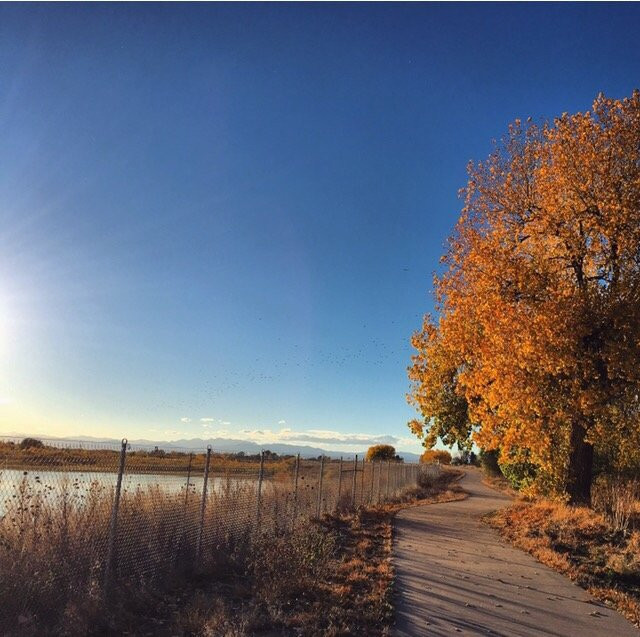 Poudre River Trail-格里利必去景点
