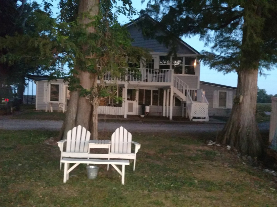 Blue Basin Cove Lodge Store-Tiptonville必去景点