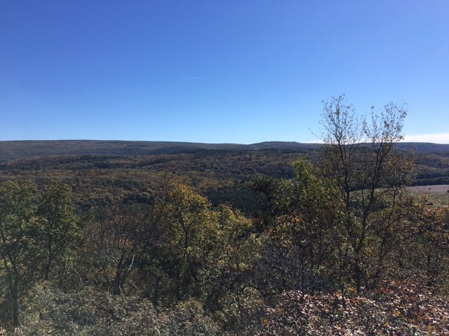 Pocono Environmental Education Center景点图片