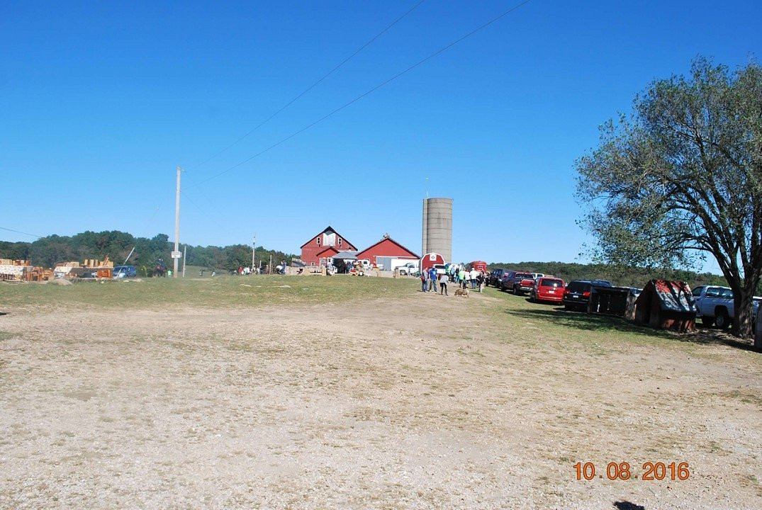 Where Pigs Fly Farm & Pigs Aloft Museum-Linn必去景点