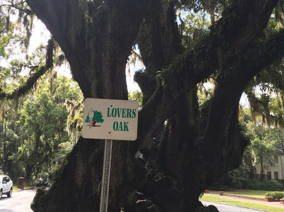 Lover's Oak-不伦瑞克必去景点