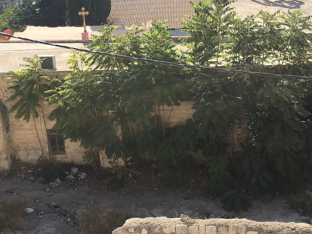 Rosana Guest House主图