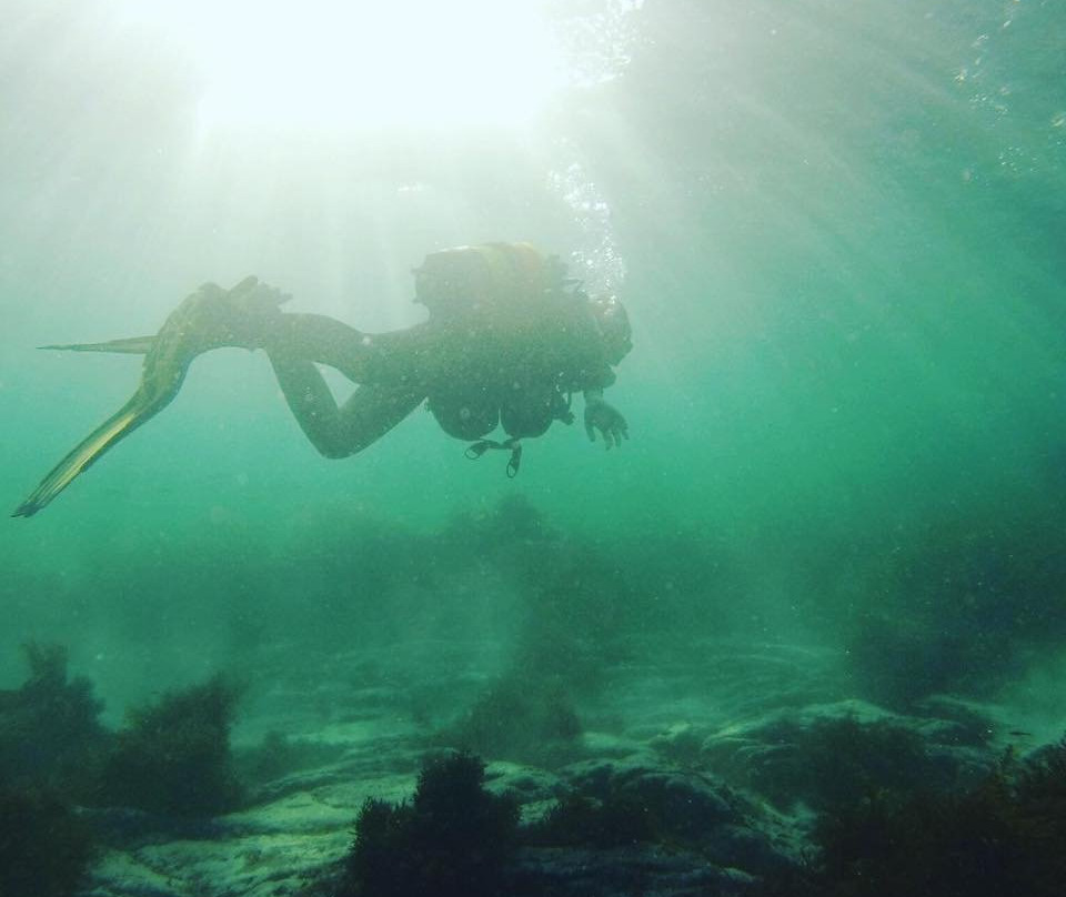 Buceo Malpica-Malpica de Bergantinos必去景点