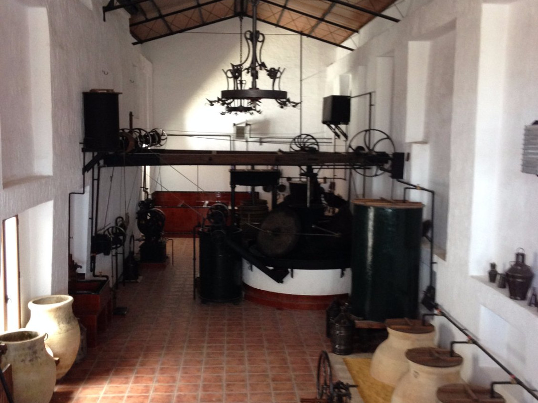 Museo Alcala Oliva景点图片