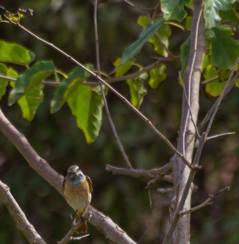 La Ferme Pédagogique-卡萨布兰卡必去景点