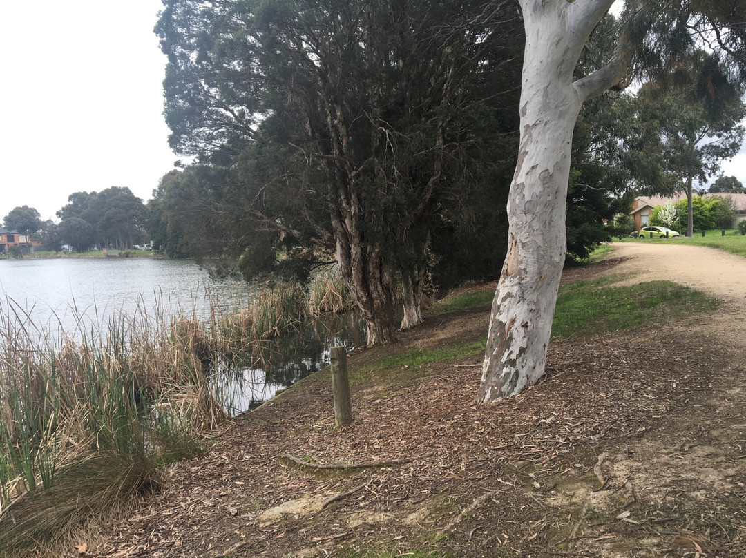 Sutton Lake景点图片
