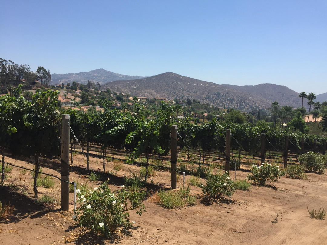 Hungry Hawk Vineyards & Winery景点图片