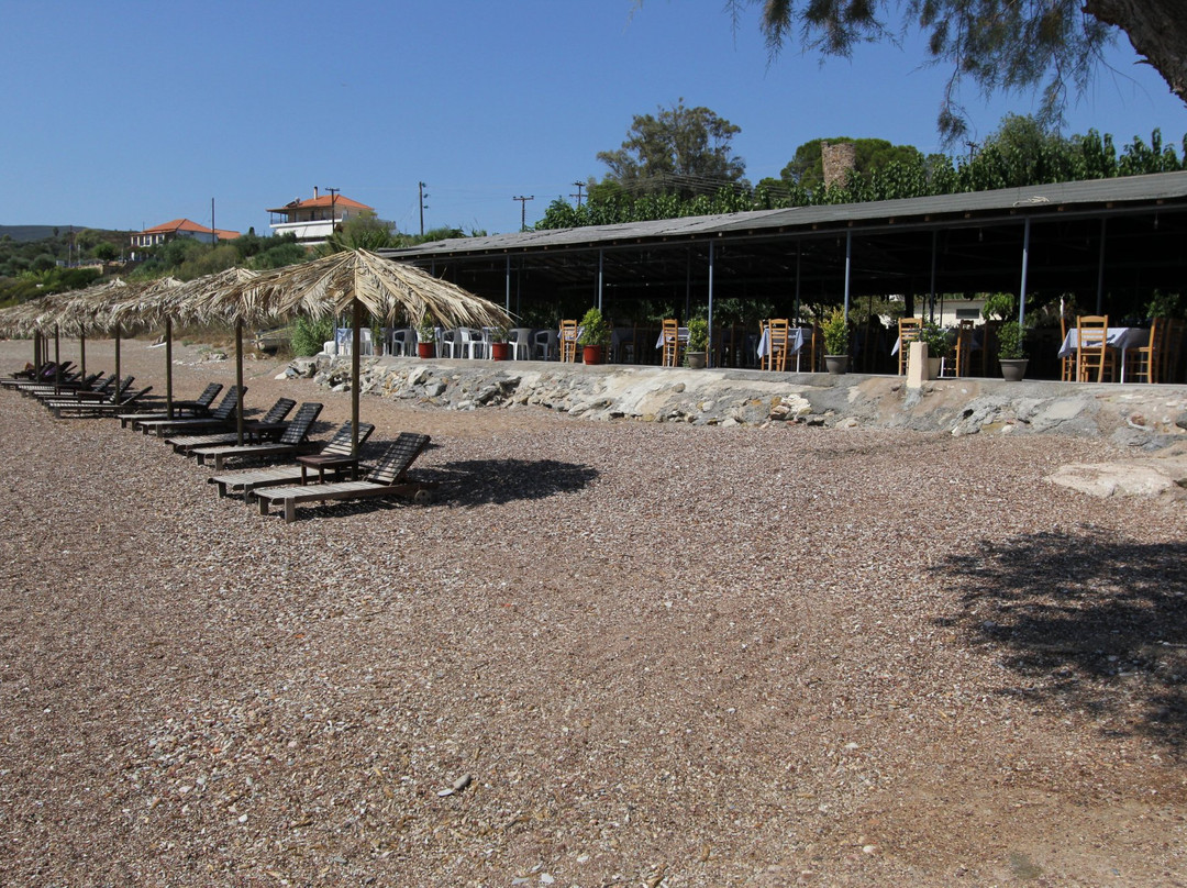 Vasilítsion餐馆和美食-To Limanaki