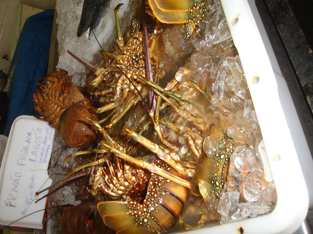 Mercado do Peixe景点图片