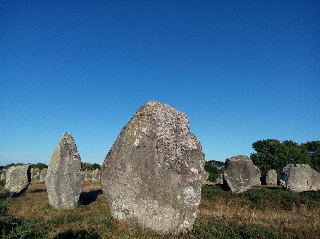 Centre Equestre Des Menhirs-卡纳克必去景点