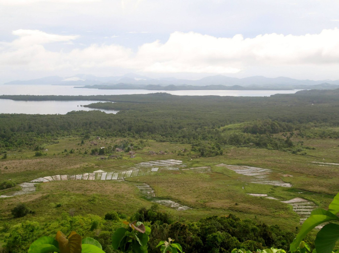 Mt. Turing-Dumaran必去景点