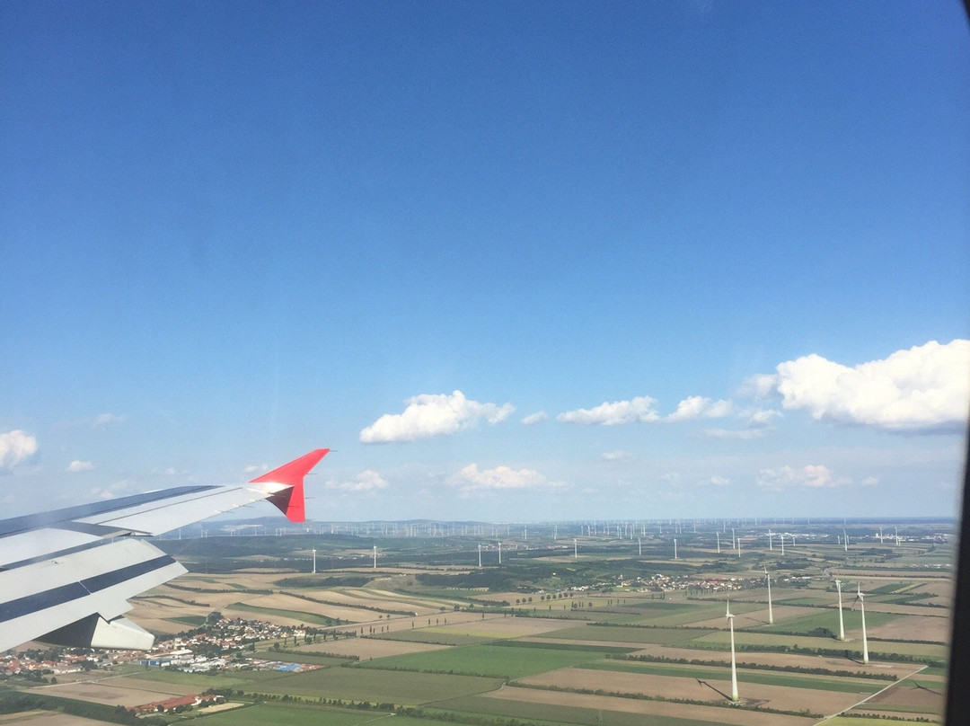 Freibad Neusiedl an der Zaya景点图片