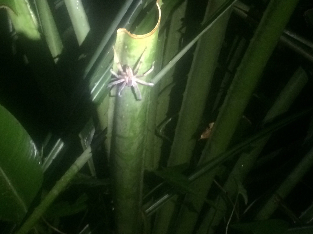 Mowglitours-托图杰多必去景点