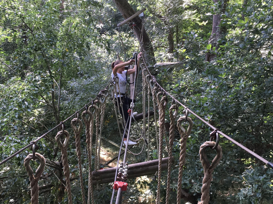 Au Fil du Ciron景点图片