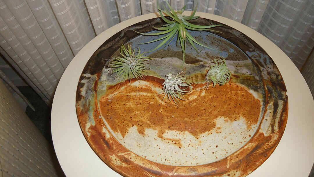 Sea Shell Shop-里霍博斯比奇必去景点