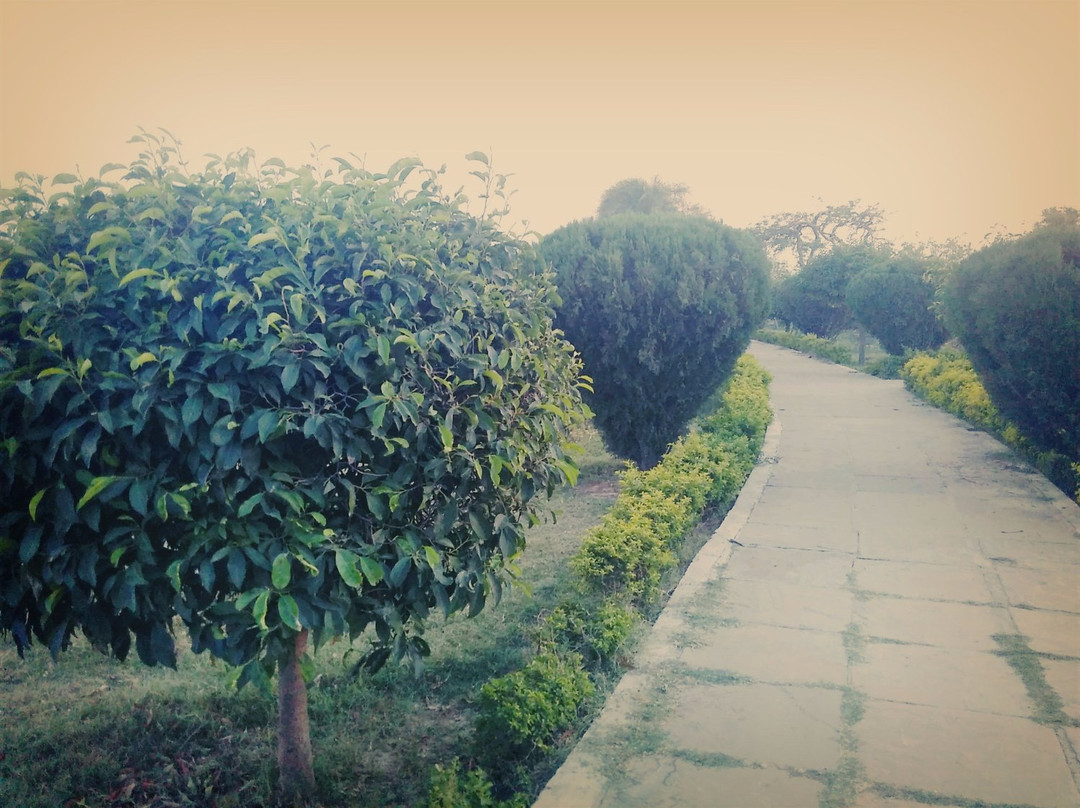 Rishabhdev RajGhat Udyan景点图片