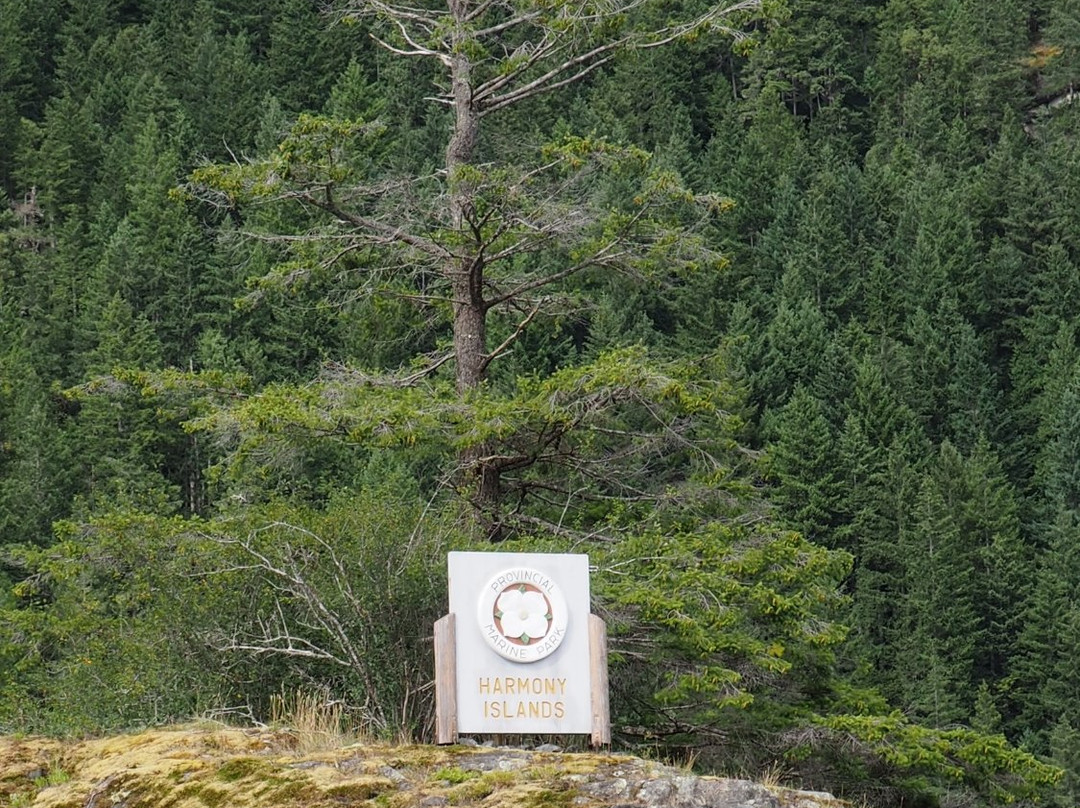 Harmony Islands Marine Provincial Park-阳光海岸必去景点