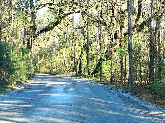 Ravenel旅游攻略图片