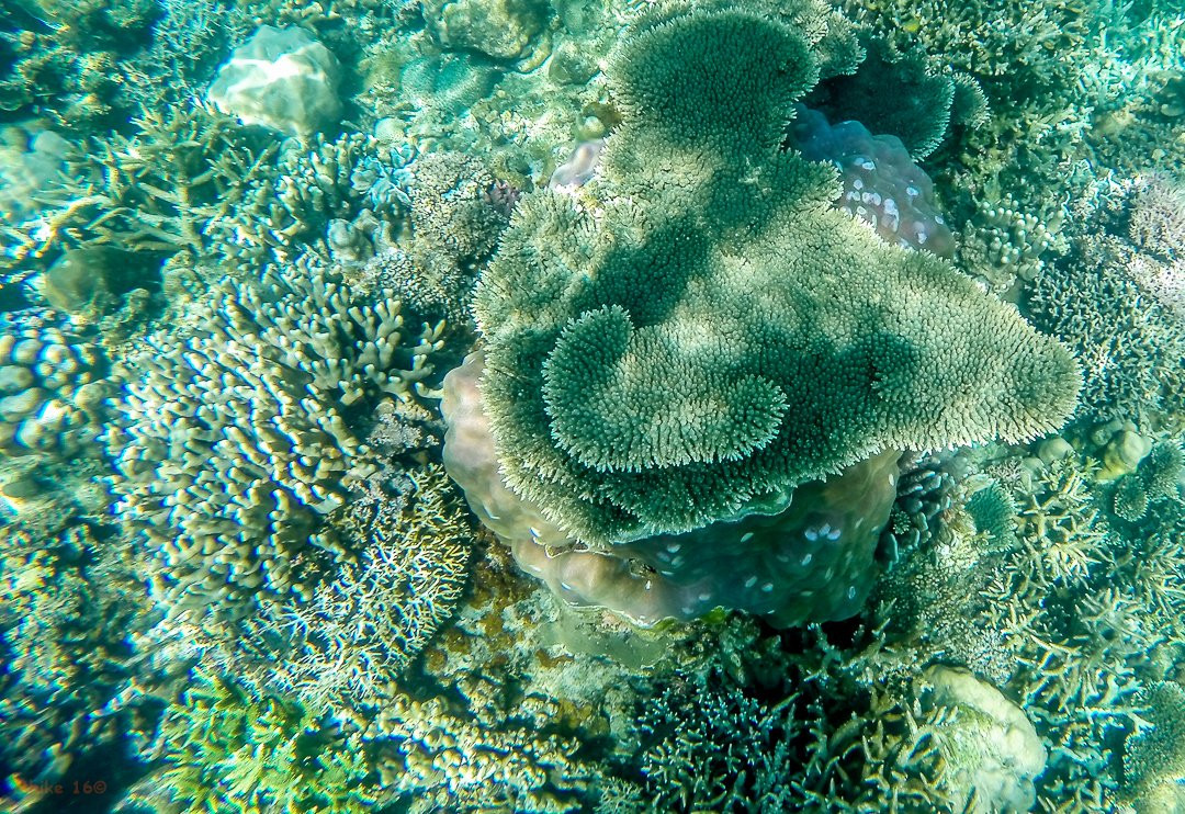 Tapiutan Island-爱妮岛必去景点