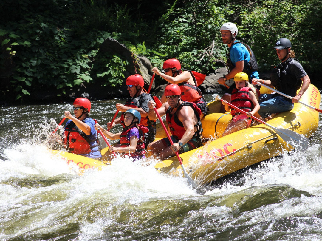 Nantahala Outdoor Center - Pigeon River Outpost景点图片