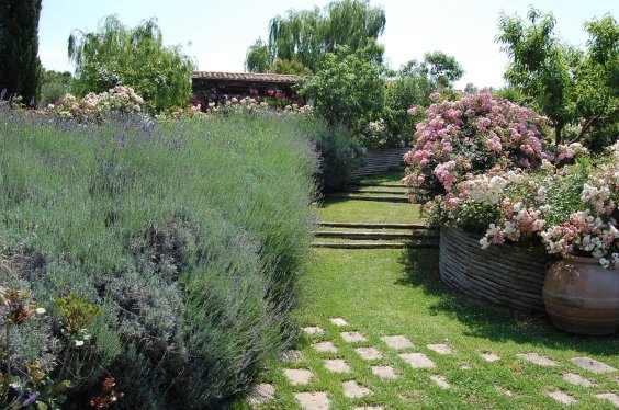 La Capalbiotta-官方