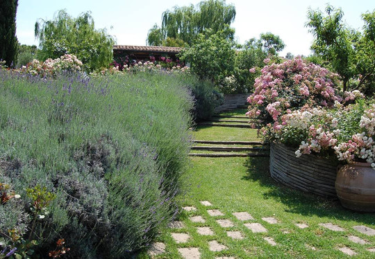 La Capalbiotta主图