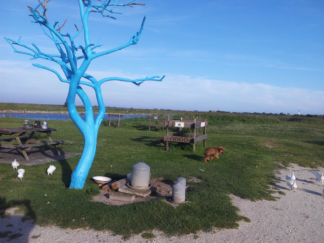 Les Petites Ecuries du Marais-Ars-en-Re必去景点