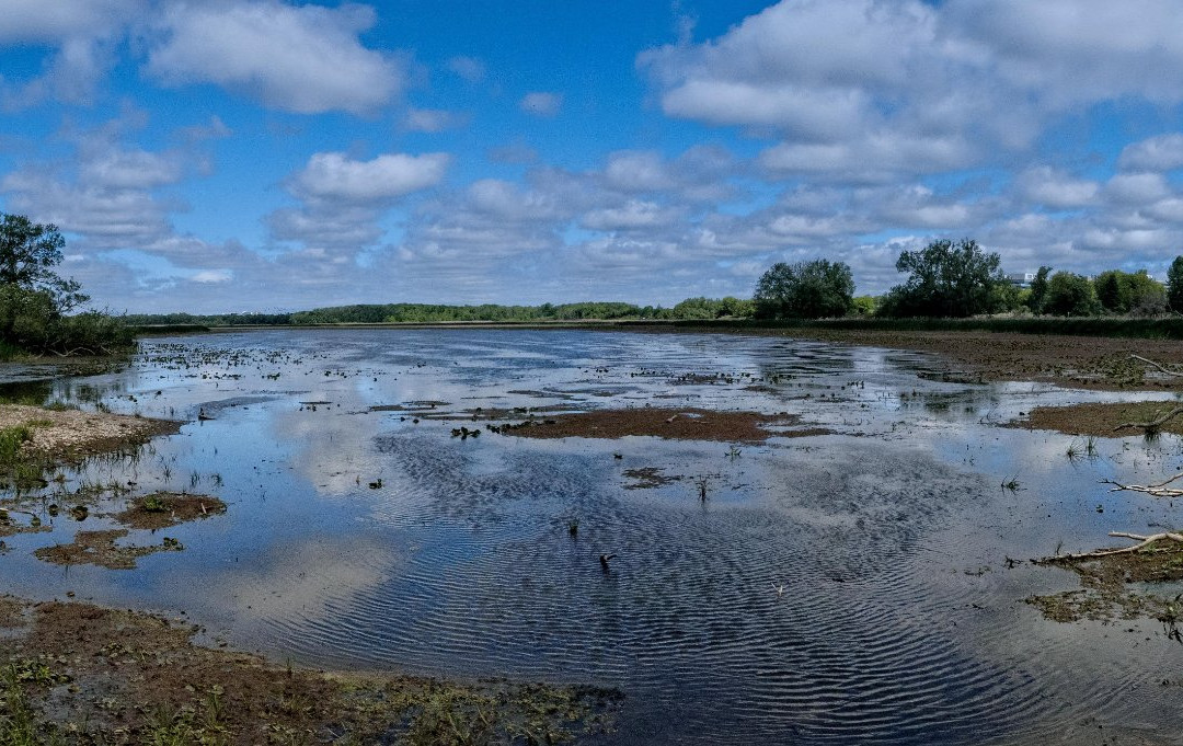 McLaughlin Bay Wildlife Reserve-奥沙瓦必去景点