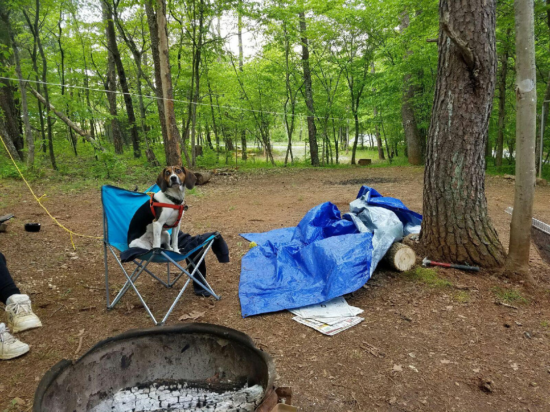 Camp Karma