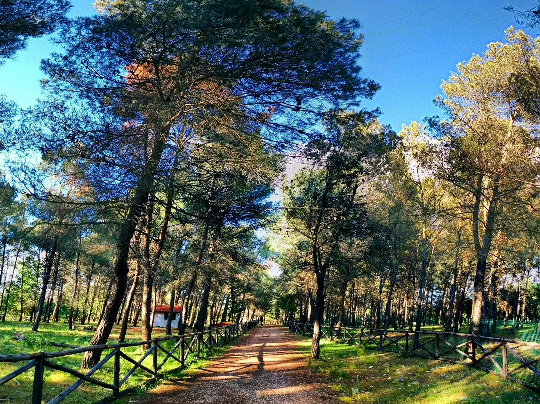 Parco Naturale Selva Reale景点图片