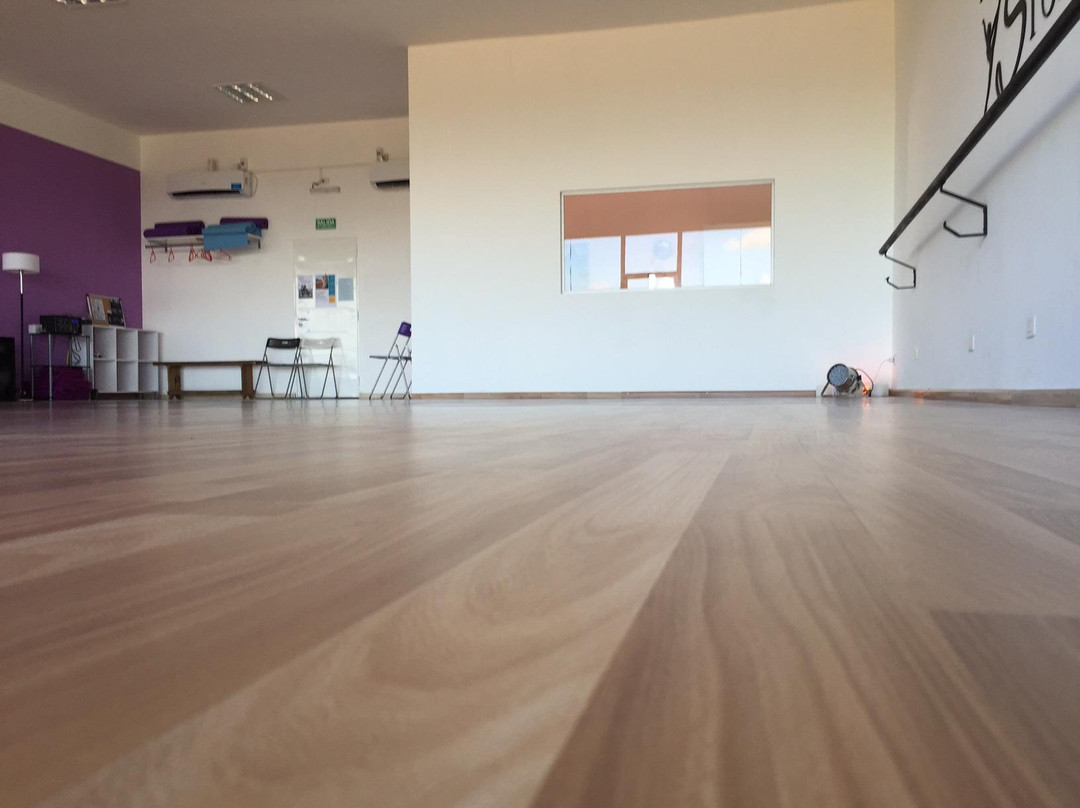 Canning Dance Studio-布宜诺斯艾利斯必去景点