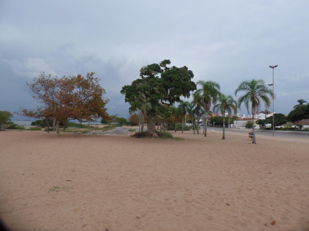 Nereidas Beach景点图片
