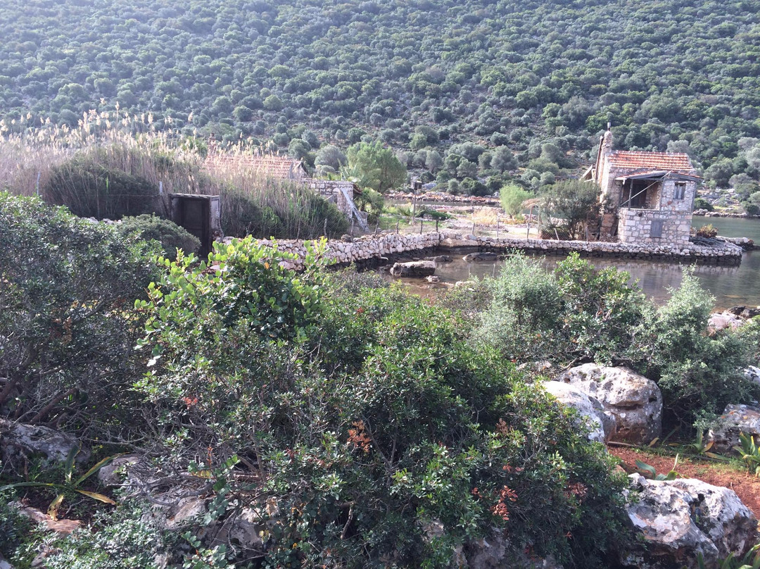 Hiker's Inn-Purple House