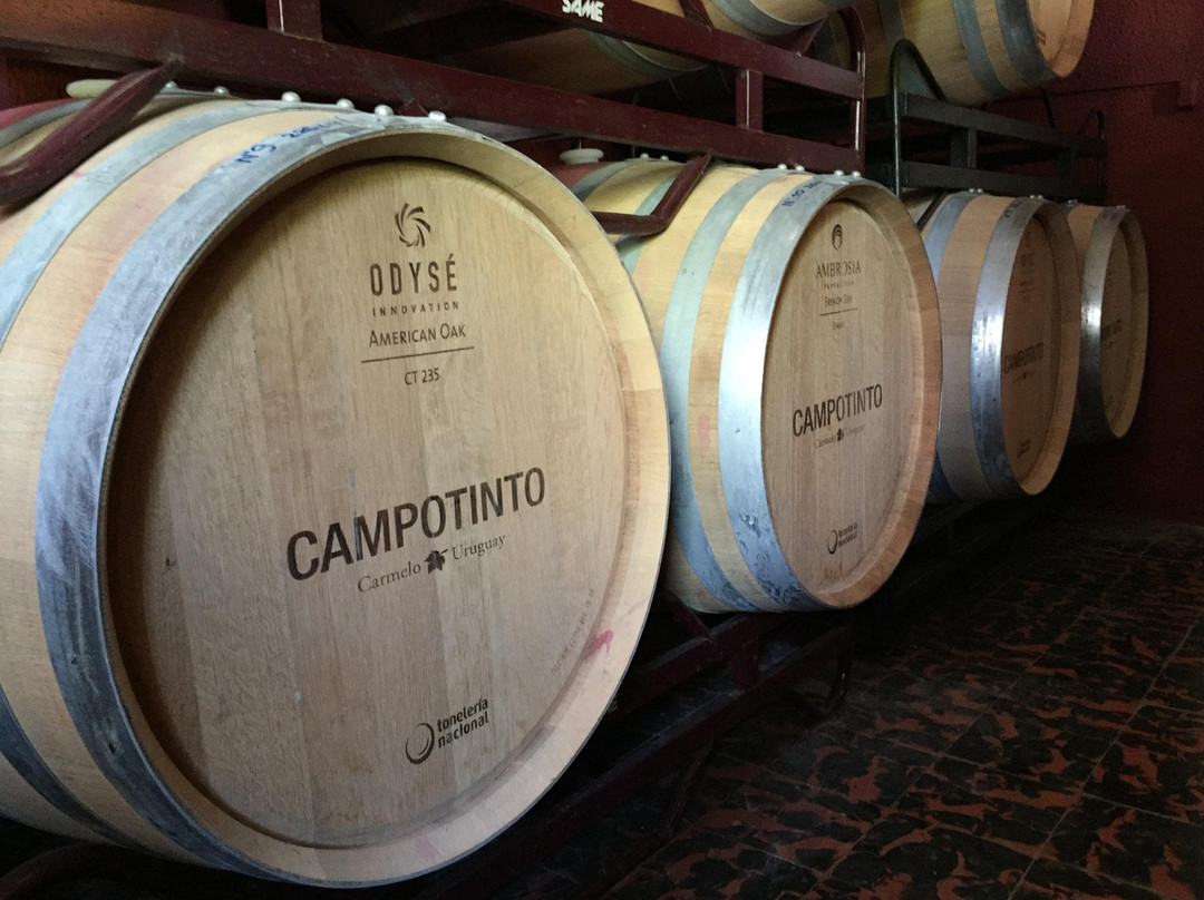 Carmelo旅游景点-Bodega Campo Tinto