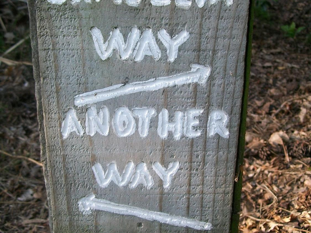 Karituwhenua Stream Walkway景点图片