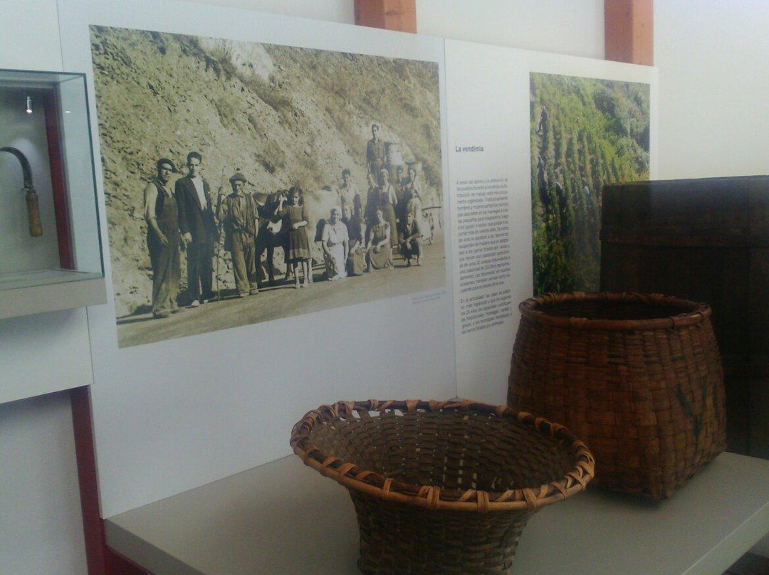 Museo Del Vino de Cangas de Narcea景点图片