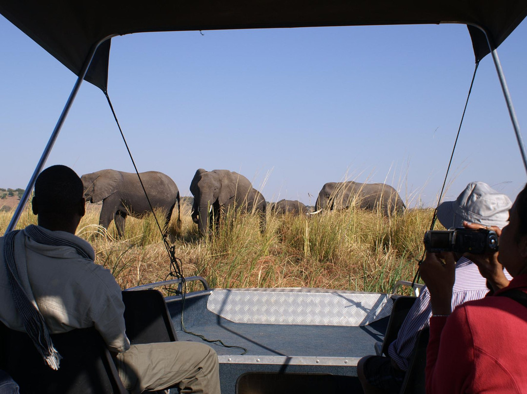 The Old House- Chobe Private activities and Safaris-卡萨尼必去景点