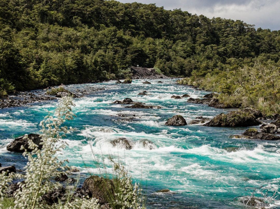 Ensenada旅游攻略图片