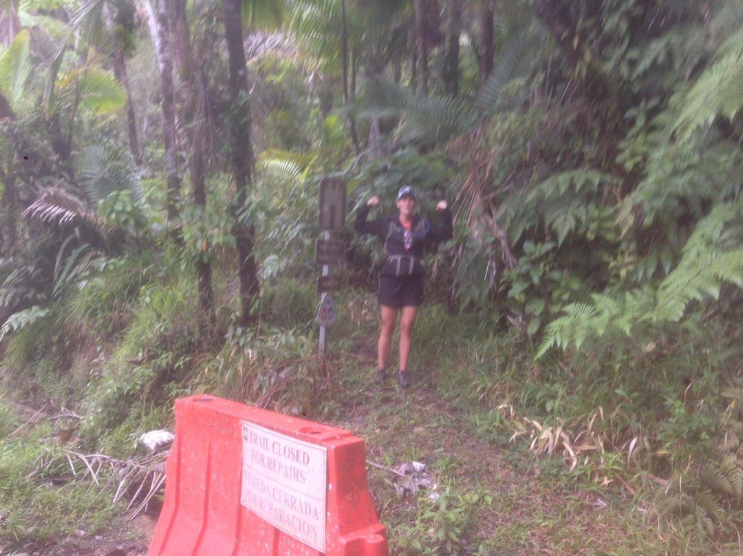 El Toro Peak-云盖国家森林公园必去景点