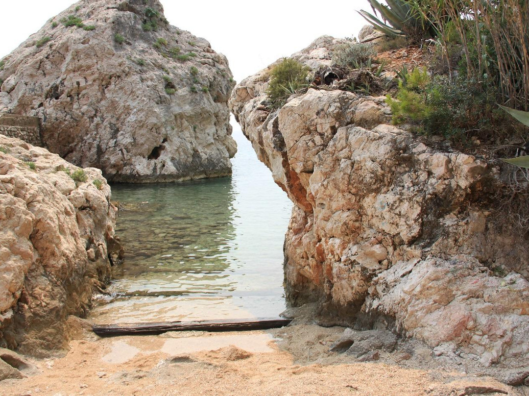 Exotic Beach景点图片