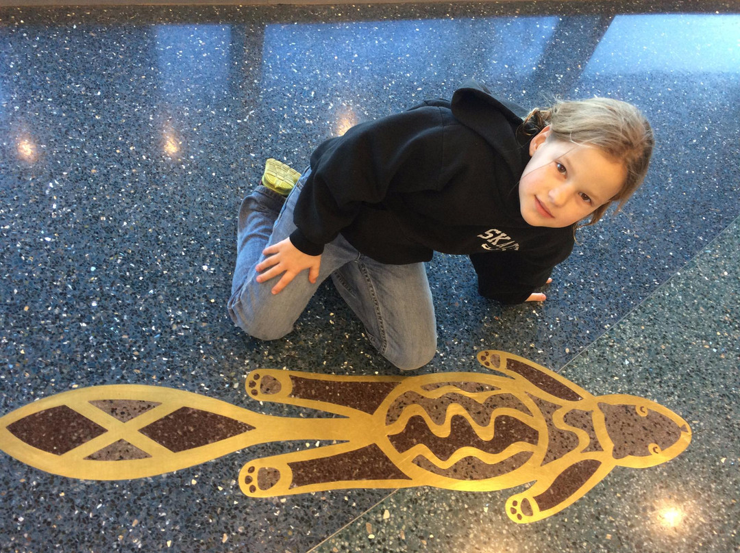 Sanford Center-伯米吉必去景点