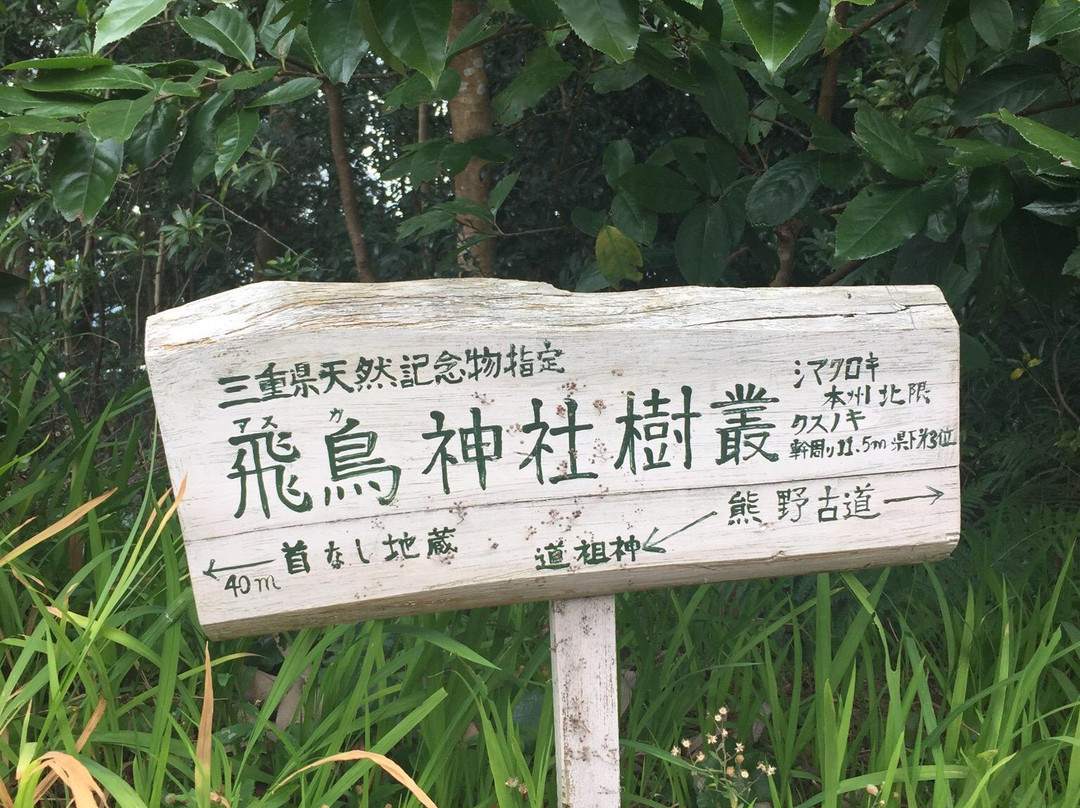 Asuka Shrine景点图片
