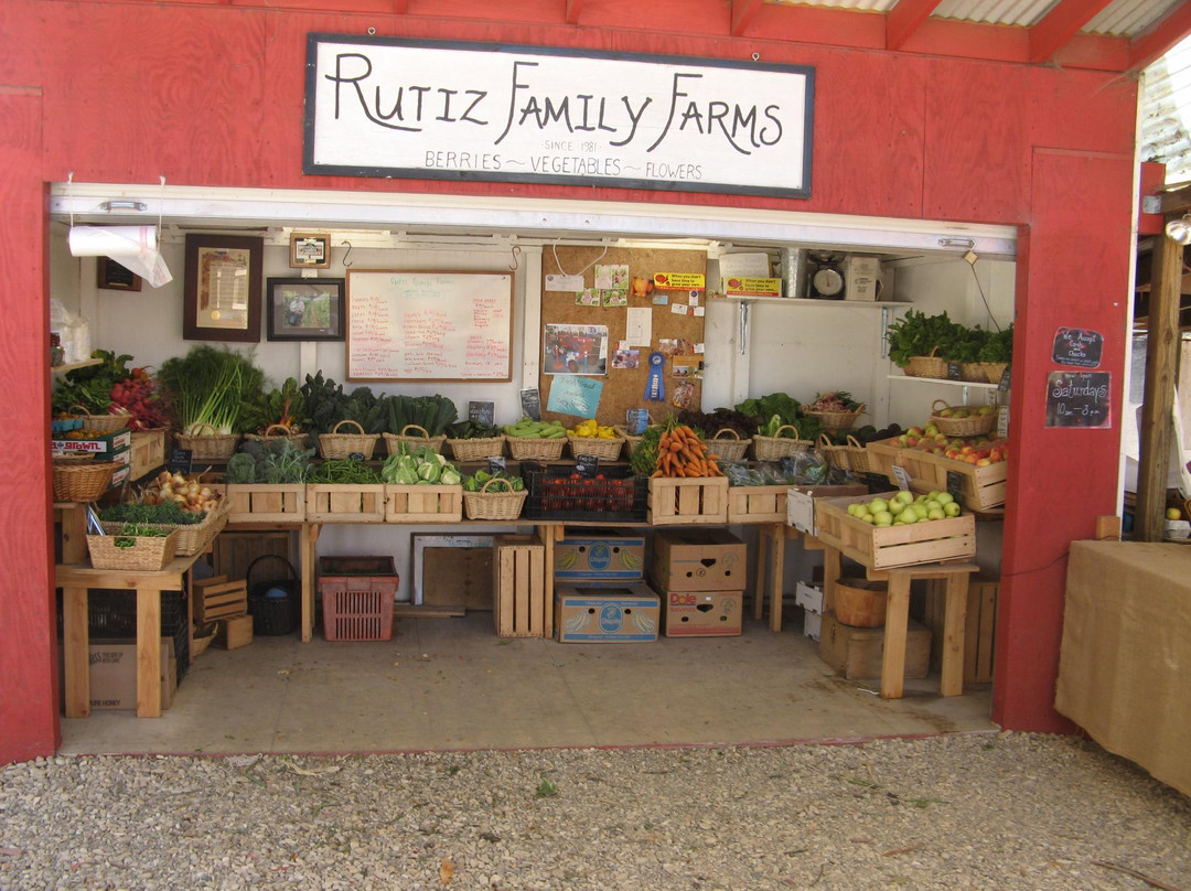 Rutiz Family Farms景点图片