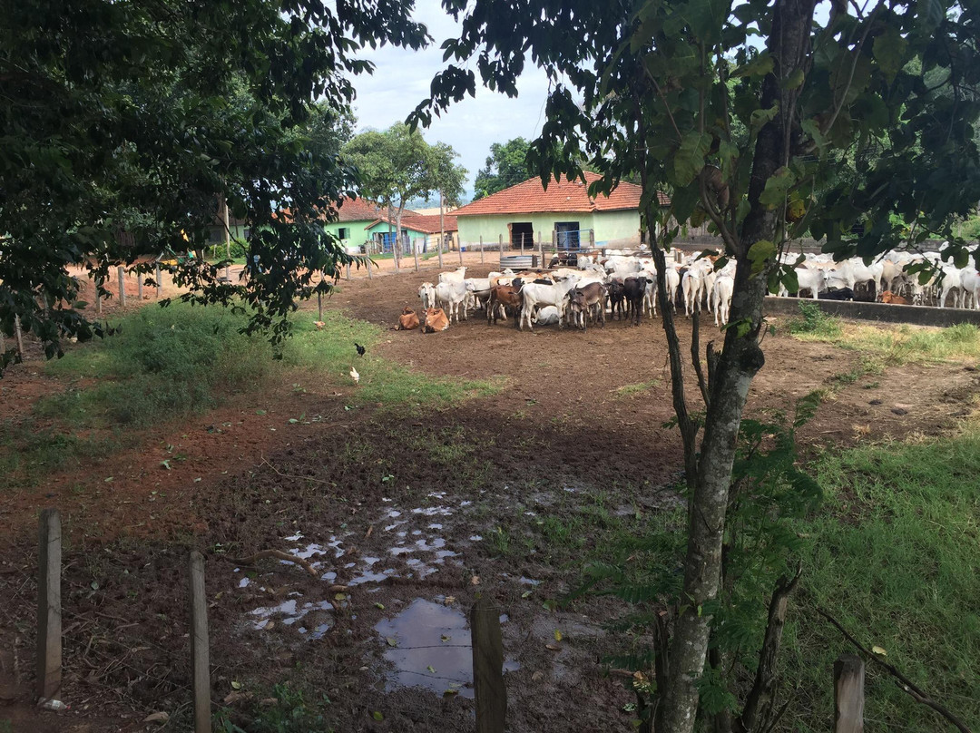 Usina Hidrelétrica Limoeiro-Sao Jose Do Rio Pardo必去景点